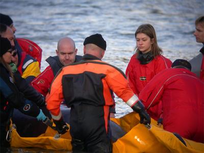 Bottlenose Whale attended by rescuers
